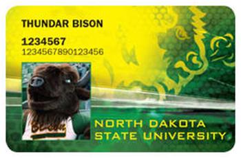 bison card bison
